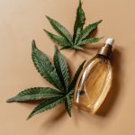 Why Modern Cannabis Feels Different Than It Did a Decade Ago Modern Cannabis