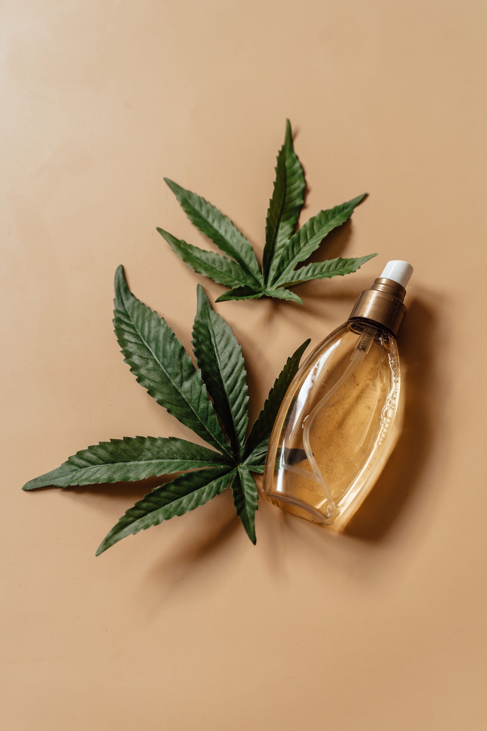 Modern Cannabis