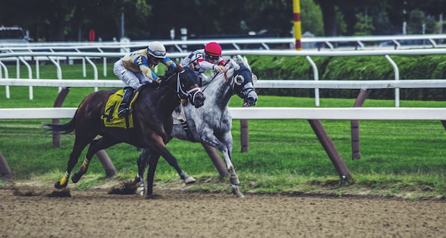 Unlocking the Mysteries of Horse Racing Betting Odds