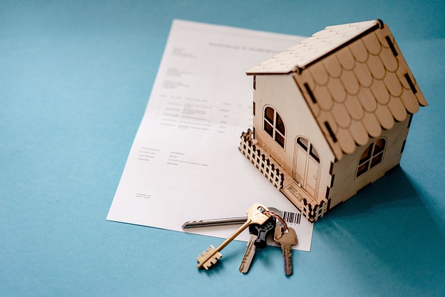 Home Loan Top Up vs. Home Improvement Loan: What Should You Opt For?