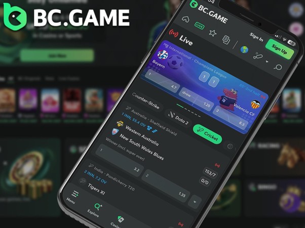 How to Use the BC Game App for Betting in India?