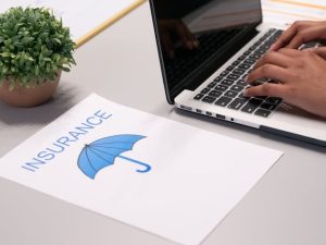 term insurance plan