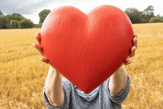 Ayurvedic Strategies for Heart Health