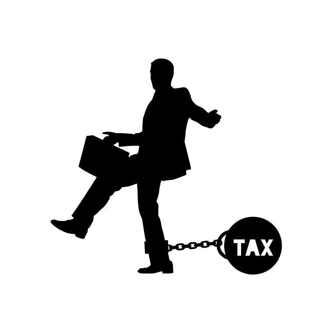 Tax Buddy