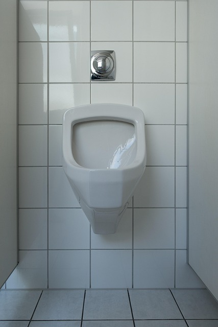 Toilet Commode