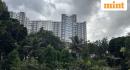 details
