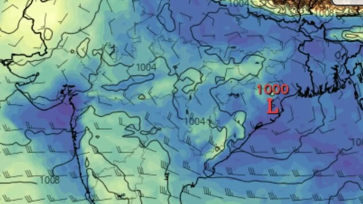details