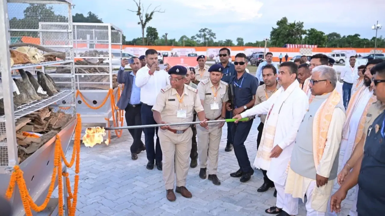 details