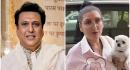 details