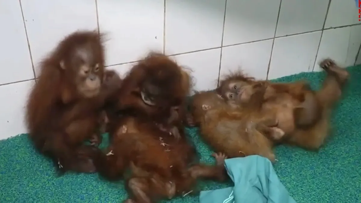 details