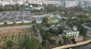 details
