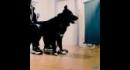 details
