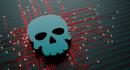 details