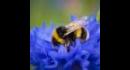details