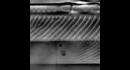 details