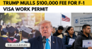 details