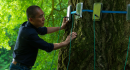 details