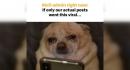 details