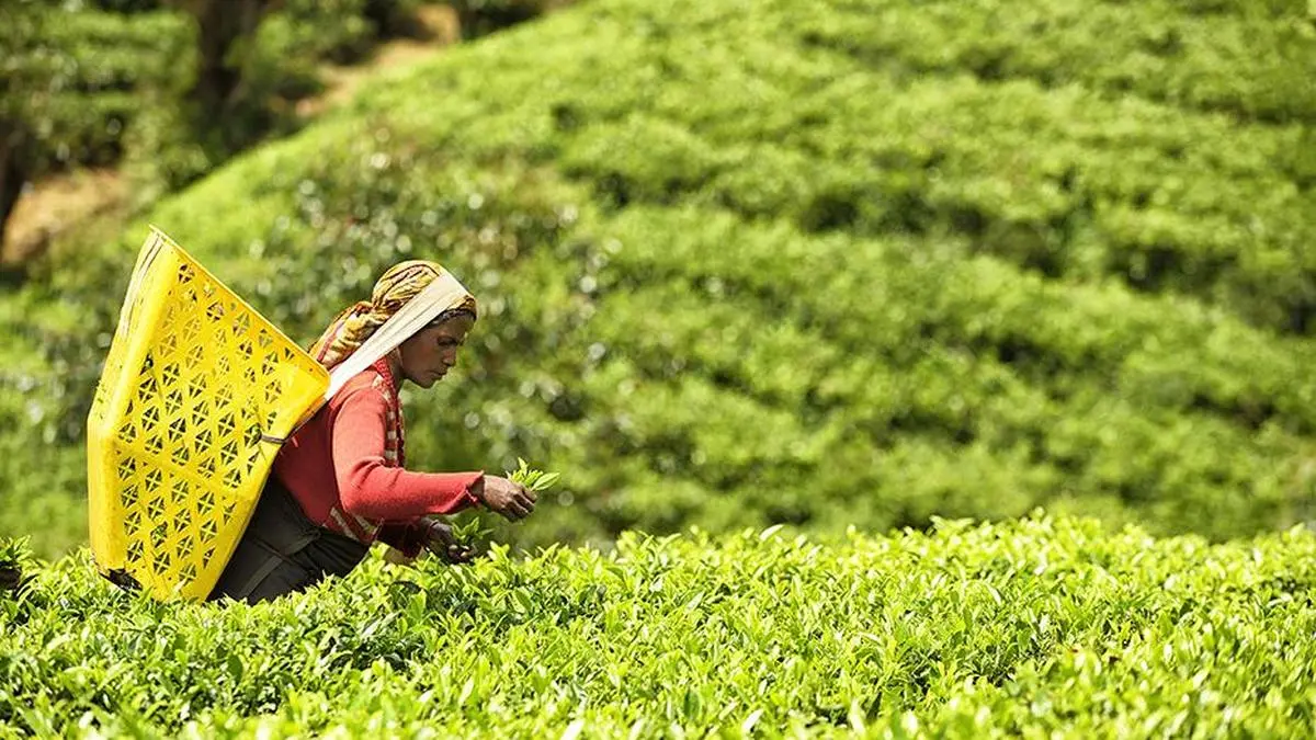 details
