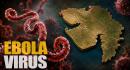details