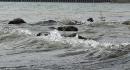 details