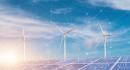 details