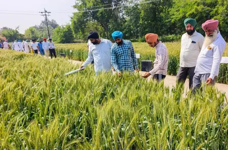 details