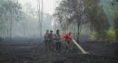 details