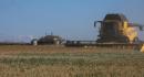 details