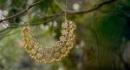 What Jewellery To Wear With A Kasavu Saree This Onam?