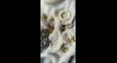 7 Types Of Earrings Every Indian Girl Should Own
