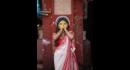 The Ultimate Guide To Bengal