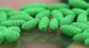 details